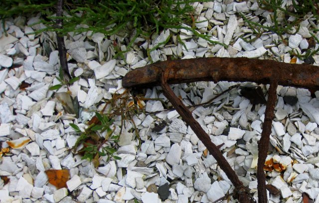 closeup of shell and bottle fragments