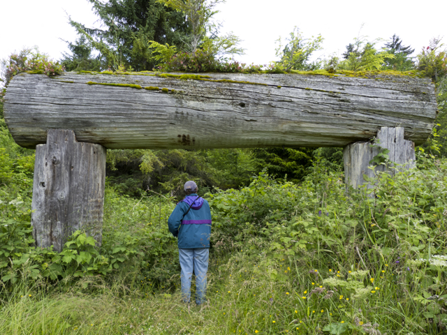 Longhouse beams