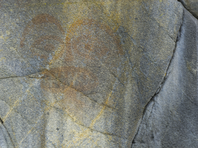 Berry Island pictograph
