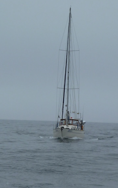 Kalagan on Cape Caution run