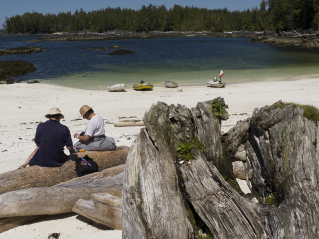 Fury Cove beach picnic
