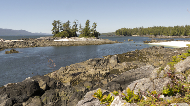 Beaches near Fury Cove