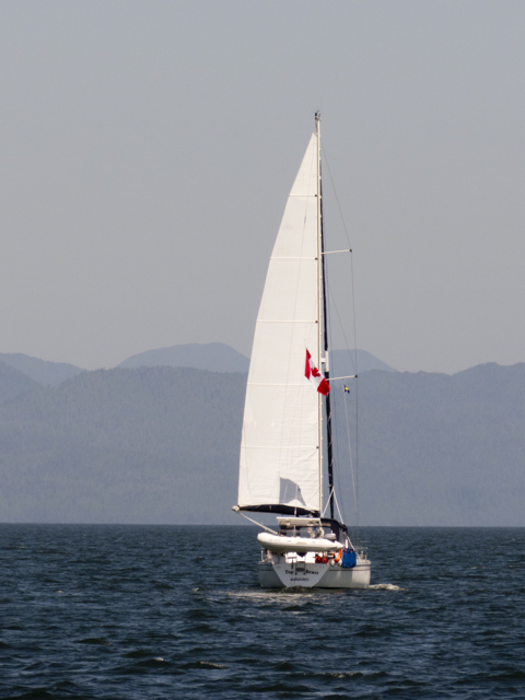 Top Brass sailing in Fitzhugh Sound