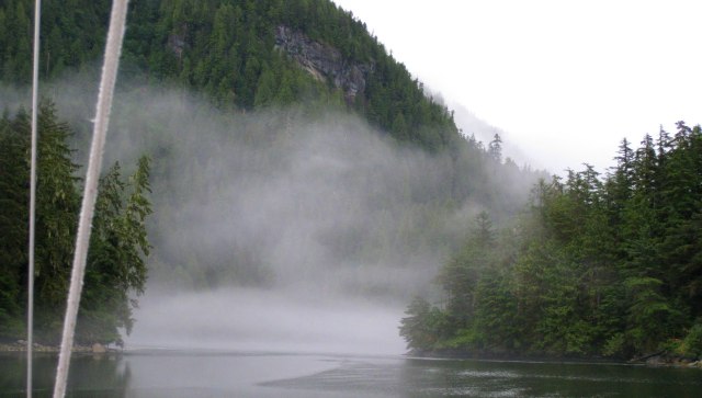 Culpepper Lagoon mist