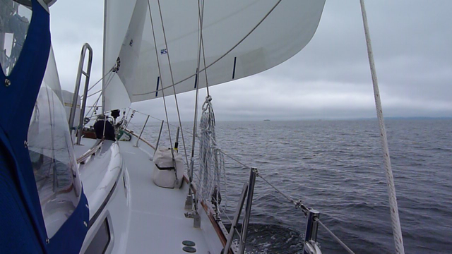 Quoddys Run sailing
