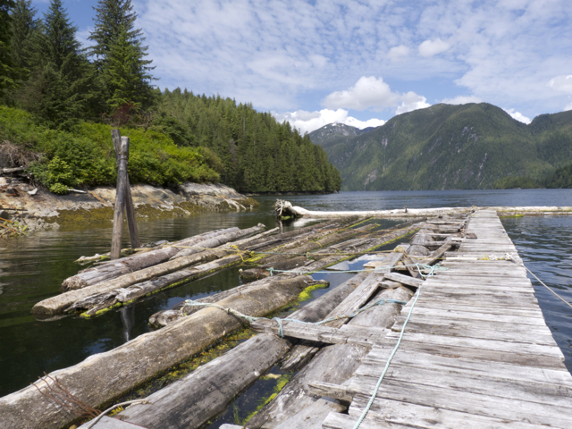 ramshackle Butedale dock