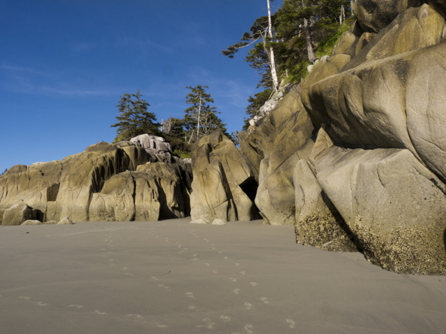 Hakai Beach outcrop