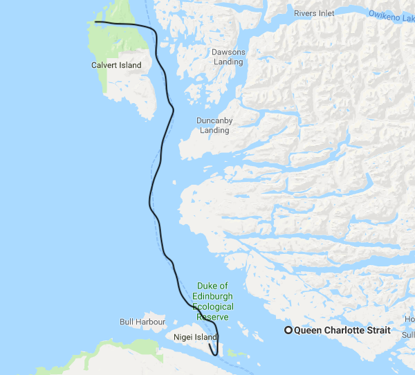 Screen Shot 2018-07-15 at 2.02.48 PM