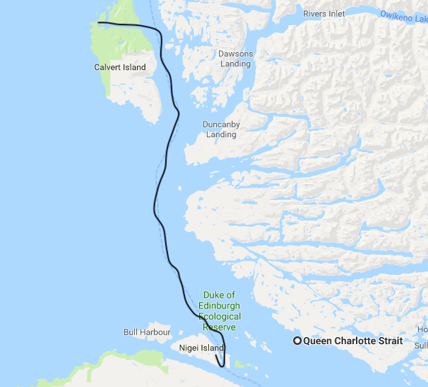 Screen Shot 2018-07-15 at 2.02.48 PM